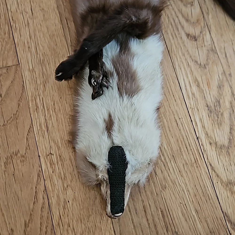 Vintage wish tails first